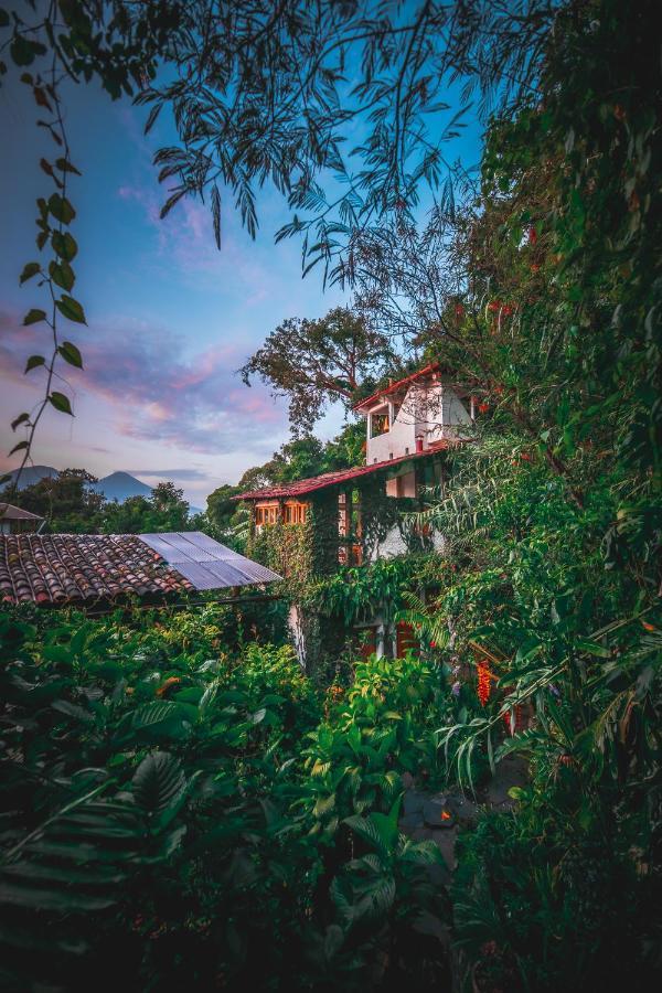 Lush Atitlan Hotel San Marcos La Laguna Exterior photo